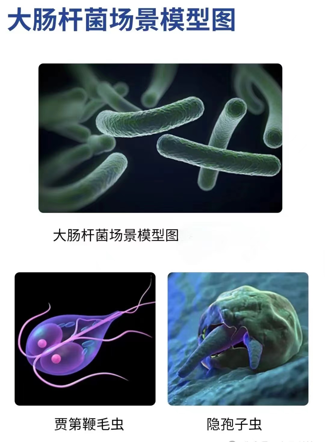 新(xin)品上市：一(yi)體式低量(liang)程激光濁(zhuó)度計